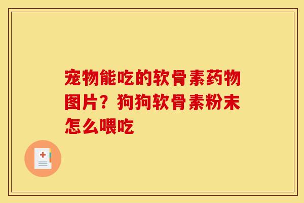 宠物能吃的软骨素药物图片？狗狗软骨素粉末怎么喂吃