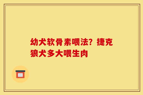 幼犬软骨素喂法？捷克狼犬多大喂生肉