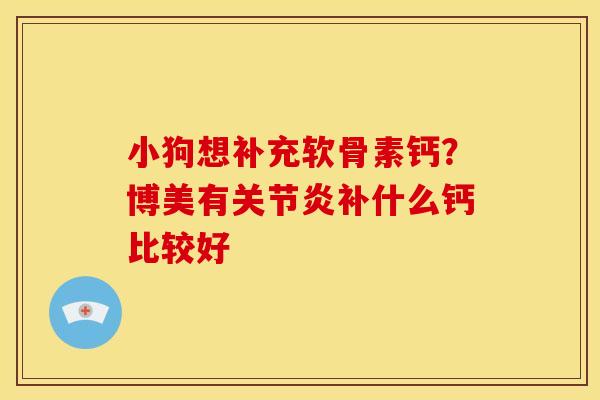 小狗想补充软骨素钙？博美有关节炎补什么钙比较好