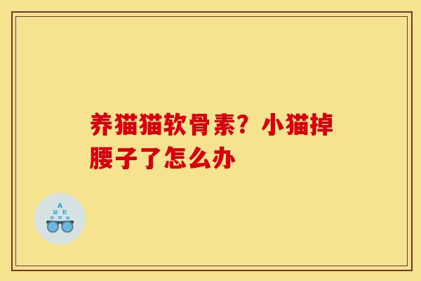 养猫猫软骨素？小猫掉腰子了怎么办
