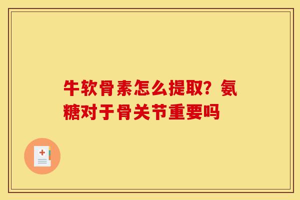 牛软骨素怎么提取？氨糖对于骨关节重要吗