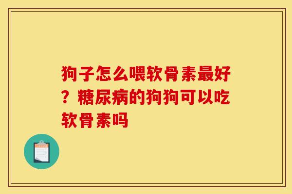 狗子怎么喂软骨素最好？糖尿病的狗狗可以吃软骨素吗
