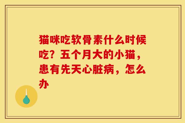 猫咪吃软骨素什么时候吃？五个月大的小猫，患有先天心脏病，怎么办