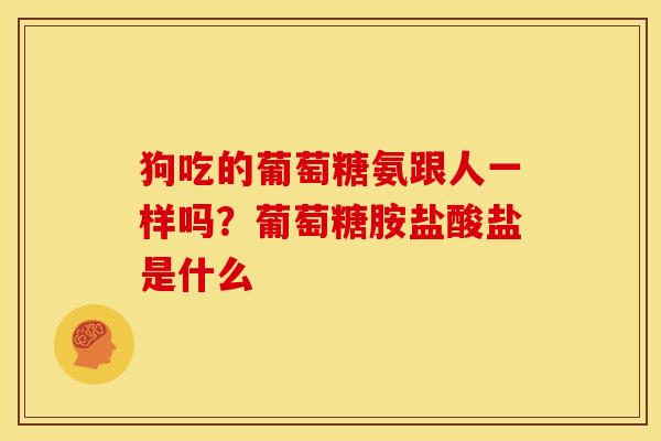 狗吃的葡萄糖氨跟人一样吗？葡萄糖胺盐酸盐是什么
