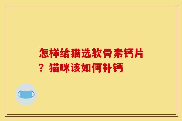 怎样给猫选软骨素钙片？猫咪该如何补钙