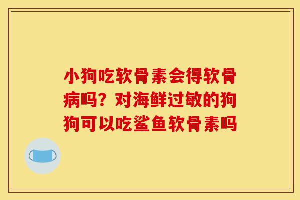小狗吃软骨素会得软骨病吗？对海鲜过敏的狗狗可以吃鲨鱼软骨素吗