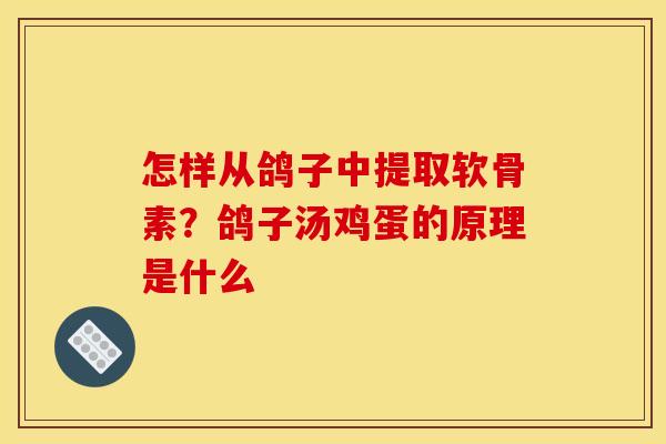 怎样从鸽子中提取软骨素？鸽子汤鸡蛋的原理是什么