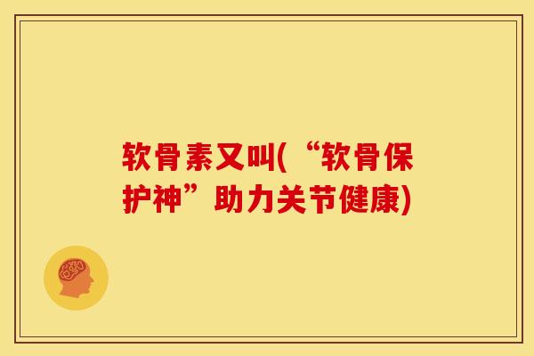 软骨素又叫(“软骨保护神”助力关节健康)