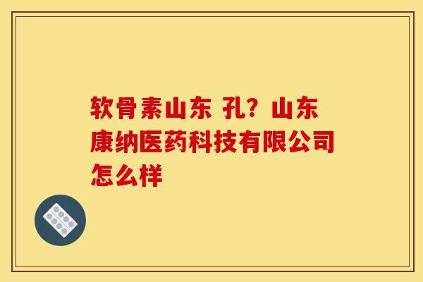 软骨素山东 孔？山东康纳医药科技有限公司怎么样