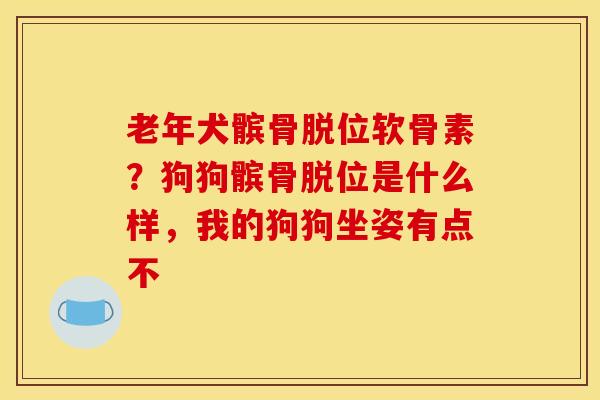 老年犬髌骨脱位软骨素？狗狗髌骨脱位是什么样，我的狗狗坐姿有点不