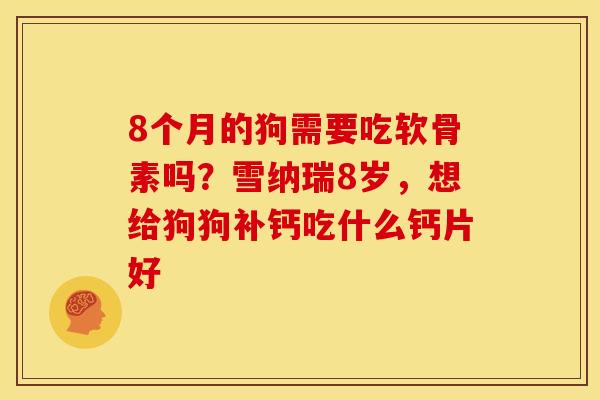 8个月的狗需要吃软骨素吗？雪纳瑞8岁，想给狗狗补钙吃什么钙片好