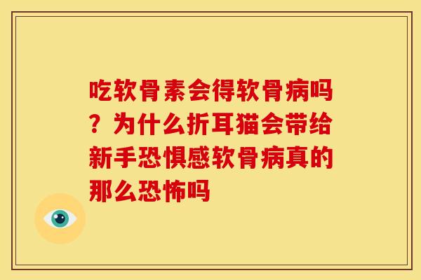吃软骨素会得软骨病吗？为什么折耳猫会带给新手恐惧感软骨病真的那么恐怖吗
