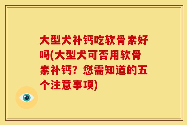 大型犬补钙吃软骨素好吗(大型犬可否用软骨素补钙？您需知道的五个注意事项)