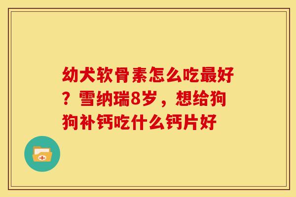 幼犬软骨素怎么吃最好？雪纳瑞8岁，想给狗狗补钙吃什么钙片好