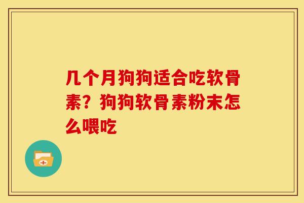 几个月狗狗适合吃软骨素？狗狗软骨素粉末怎么喂吃