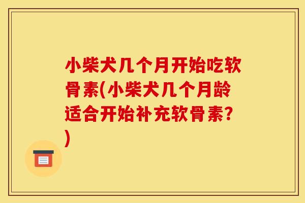 小柴犬几个月开始吃软骨素(小柴犬几个月龄适合开始补充软骨素？)