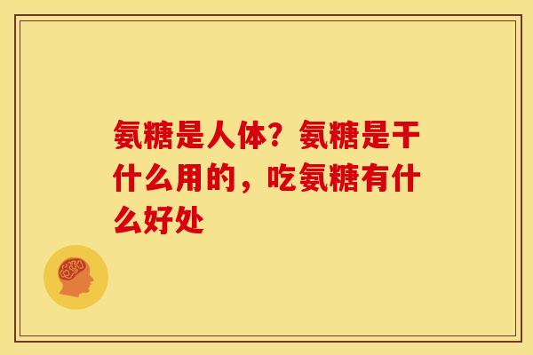 氨糖是人体？氨糖是干什么用的，吃氨糖有什么好处
