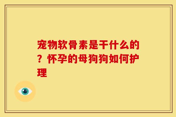 宠物软骨素是干什么的？怀孕的母狗狗如何护理