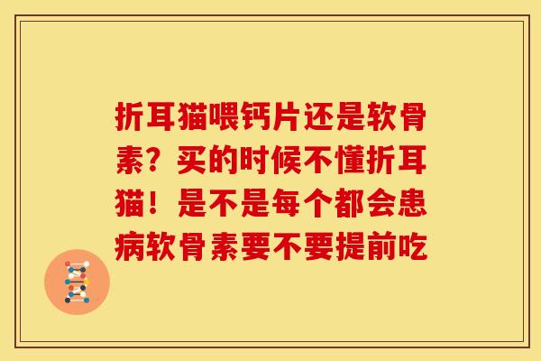 折耳猫喂钙片还是软骨素？买的时候不懂折耳猫！是不是每个都会患病软骨素要不要提前吃