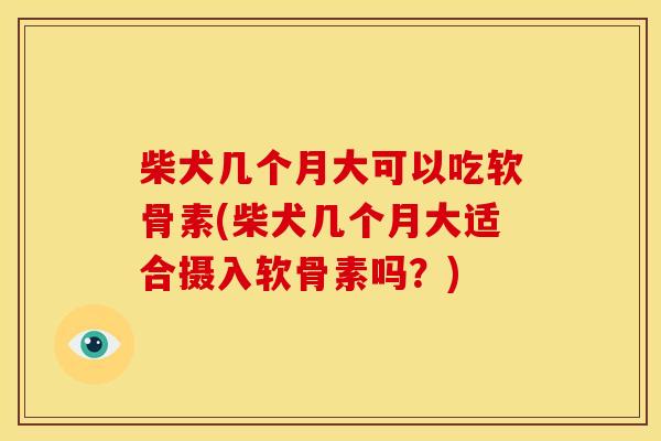 柴犬几个月大可以吃软骨素(柴犬几个月大适合摄入软骨素吗？)