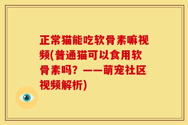 正常猫能吃软骨素嘛视频(普通猫可以食用软骨素吗？——萌宠社区视频解析)