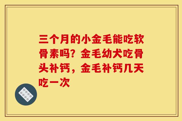 三个月的小金毛能吃软骨素吗？金毛幼犬吃骨头补钙，金毛补钙几天吃一次