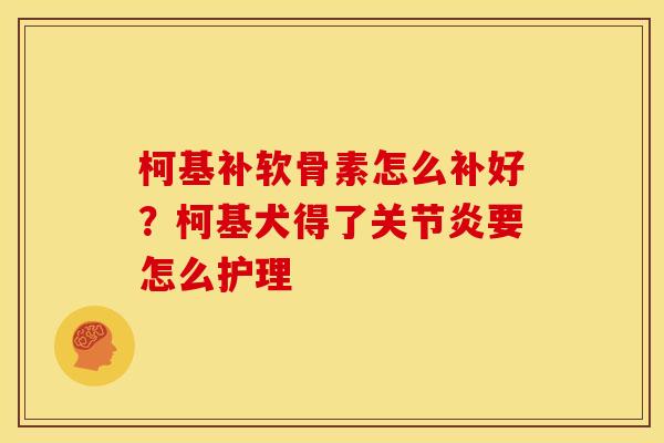 柯基补软骨素怎么补好？柯基犬得了关节炎要怎么护理