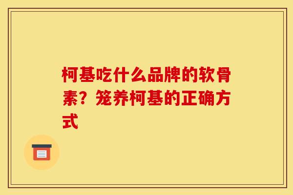 柯基吃什么品牌的软骨素？笼养柯基的正确方式
