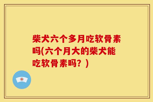 柴犬六个多月吃软骨素吗(六个月大的柴犬能吃软骨素吗？)