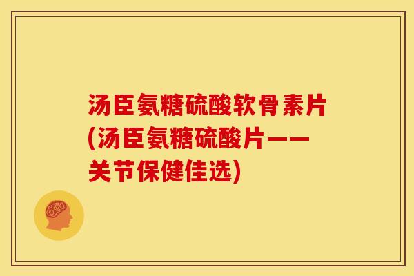 汤臣氨糖硫酸软骨素片(汤臣氨糖硫酸片——关节保健佳选)