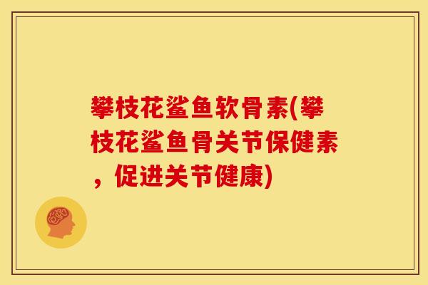 攀枝花鲨鱼软骨素(攀枝花鲨鱼骨关节保健素，促进关节健康)