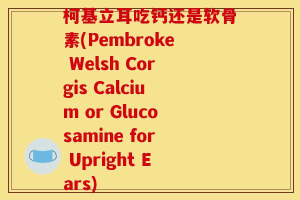柯基立耳吃钙还是软骨素(Pembroke Welsh Corgis Calcium or Glucosamine for Upright Ears)