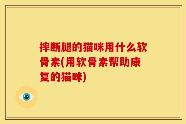 摔断腿的猫咪用什么软骨素(用软骨素帮助康复的猫咪)