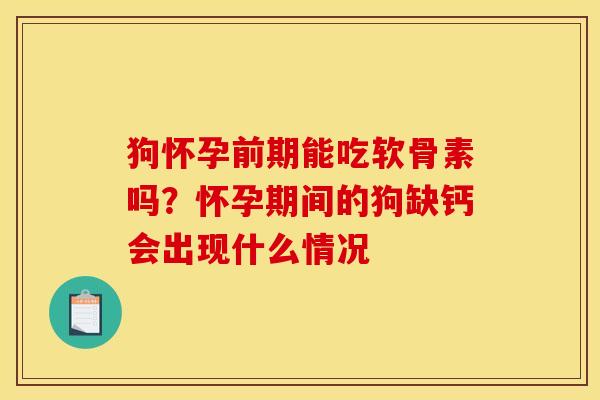 狗怀孕前期能吃软骨素吗？怀孕期间的狗缺钙会出现什么情况