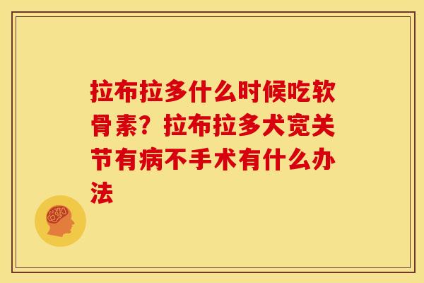 拉布拉多什么时候吃软骨素？拉布拉多犬宽关节有病不手术有什么办法