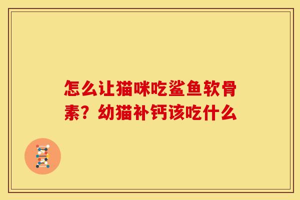 怎么让猫咪吃鲨鱼软骨素？幼猫补钙该吃什么