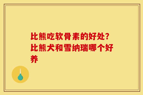 比熊吃软骨素的好处？比熊犬和雪纳瑞哪个好养