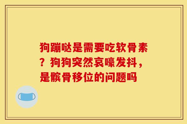 狗蹦哒是需要吃软骨素？狗狗突然哀嚎发抖，是髌骨移位的问题吗
