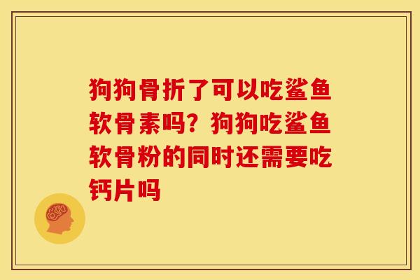 狗狗骨折了可以吃鲨鱼软骨素吗？狗狗吃鲨鱼软骨粉的同时还需要吃钙片吗