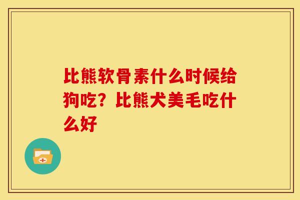 比熊软骨素什么时候给狗吃？比熊犬美毛吃什么好