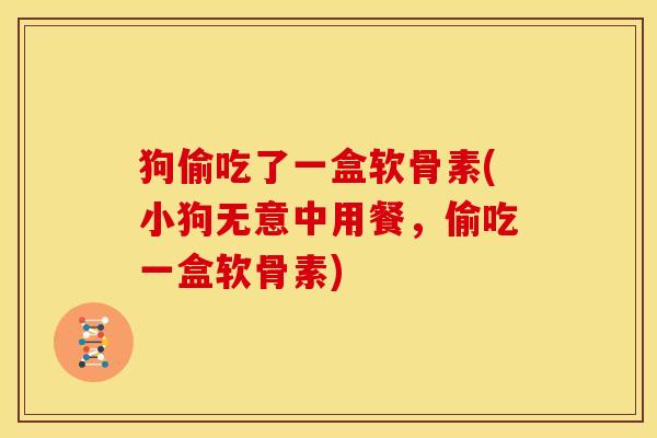 狗偷吃了一盒软骨素(小狗无意中用餐，偷吃一盒软骨素)