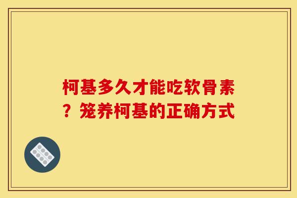 柯基多久才能吃软骨素？笼养柯基的正确方式