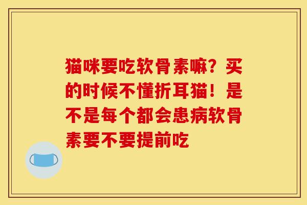 猫咪要吃软骨素嘛？买的时候不懂折耳猫！是不是每个都会患病软骨素要不要提前吃