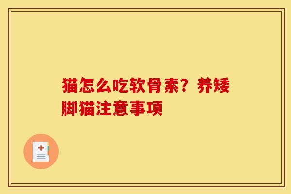 猫怎么吃软骨素？养矮脚猫注意事项