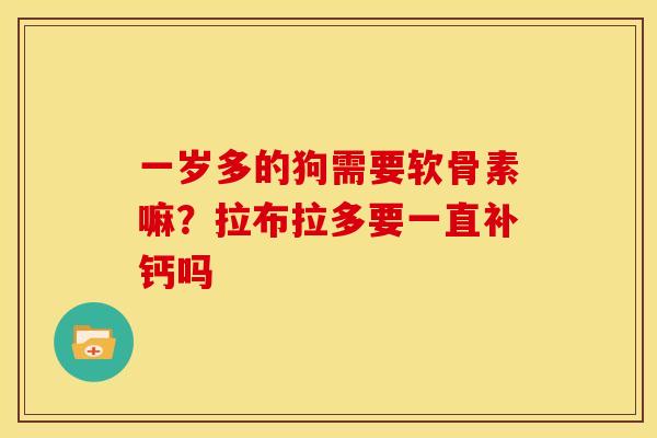 一岁多的狗需要软骨素嘛？拉布拉多要一直补钙吗