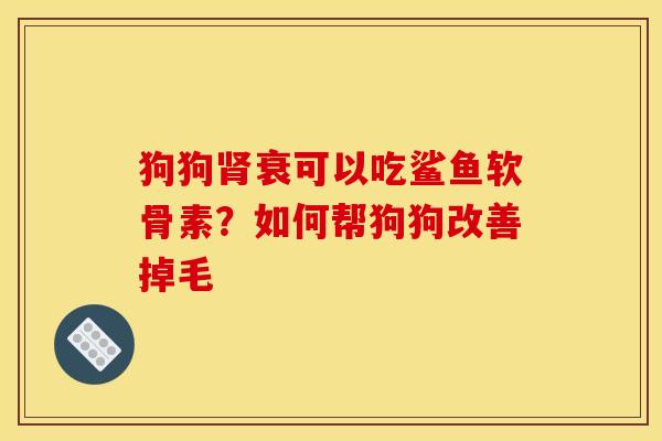 狗狗肾衰可以吃鲨鱼软骨素？如何帮狗狗改善掉毛