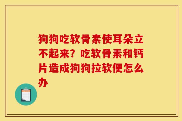 狗狗吃软骨素使耳朵立不起来？吃软骨素和钙片造成狗狗拉软便怎么办