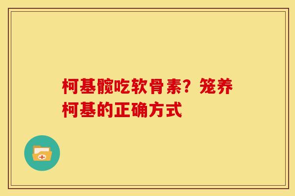 柯基髋吃软骨素？笼养柯基的正确方式