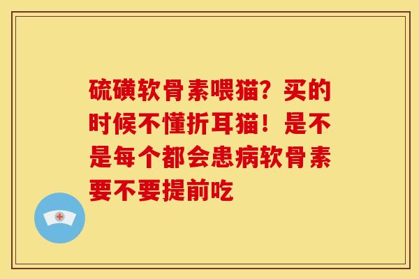 硫磺软骨素喂猫？买的时候不懂折耳猫！是不是每个都会患病软骨素要不要提前吃