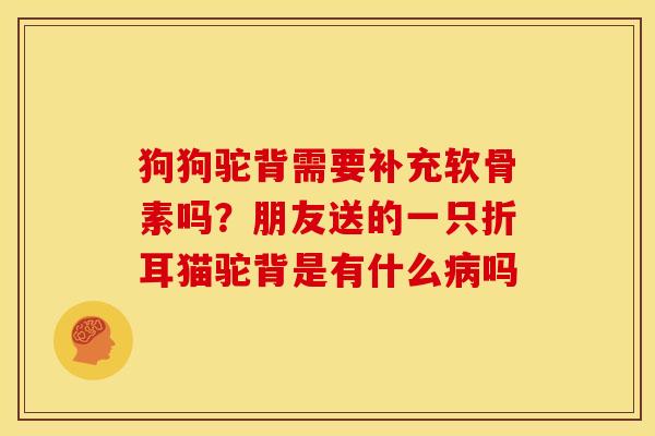 狗狗驼背需要补充软骨素吗？朋友送的一只折耳猫驼背是有什么病吗